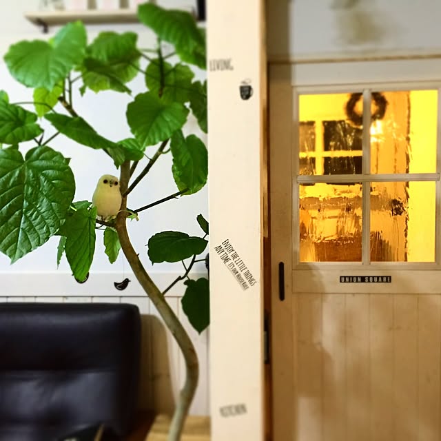 maronさんの実例写真