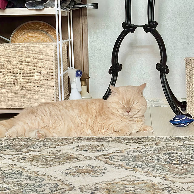 naokoさんの実例写真