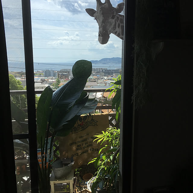 araさんの実例写真