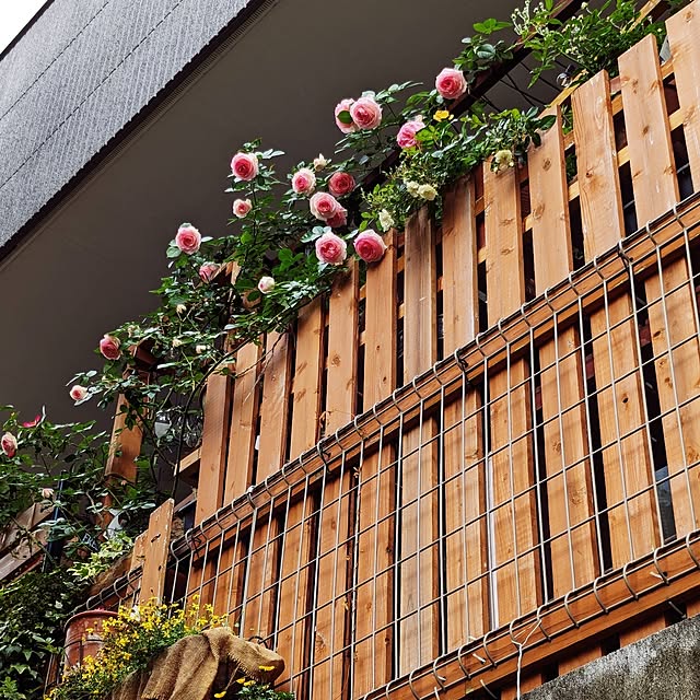 kazuさんの部屋
