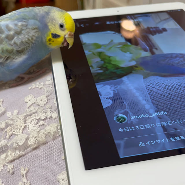Atsukoさんの部屋