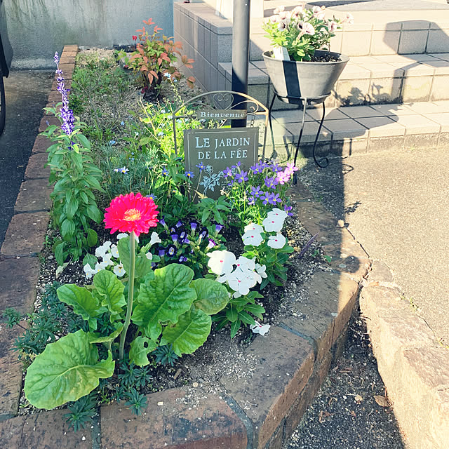 chi-mamaさんの実例写真