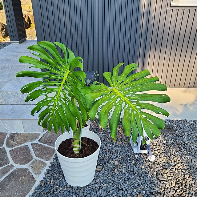 Rubiconさんの部屋