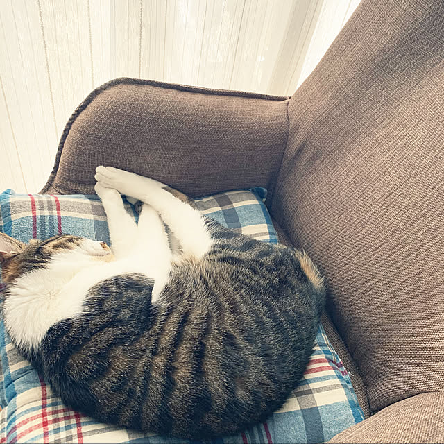 mayuさんの実例写真