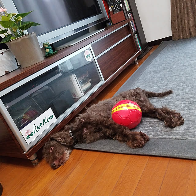 mimi828さんの実例写真