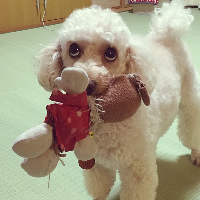 Junran50さんの実例写真