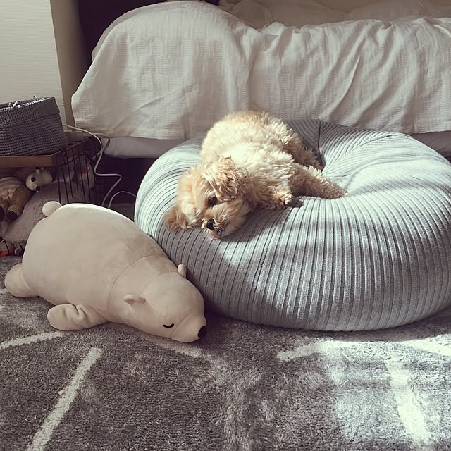 Megさんの実例写真