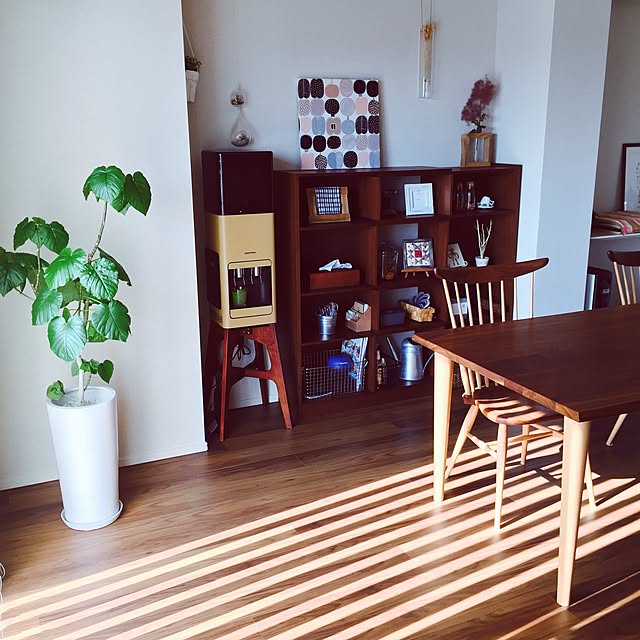 Harunaさんの実例写真