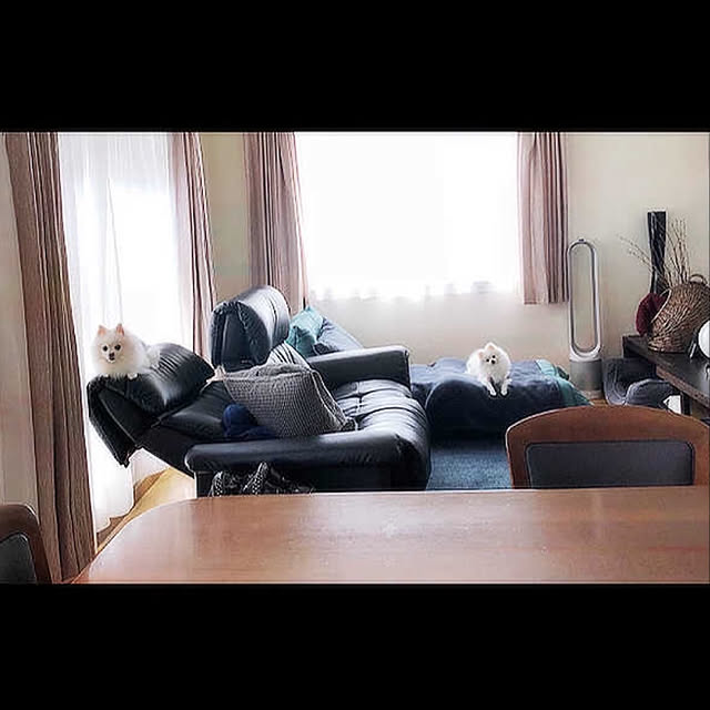 ninoninoさんの実例写真
