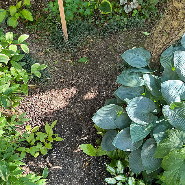 mamizaさんの部屋