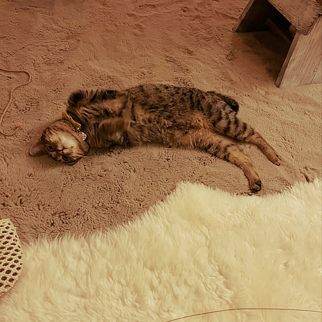 Mさんの実例写真