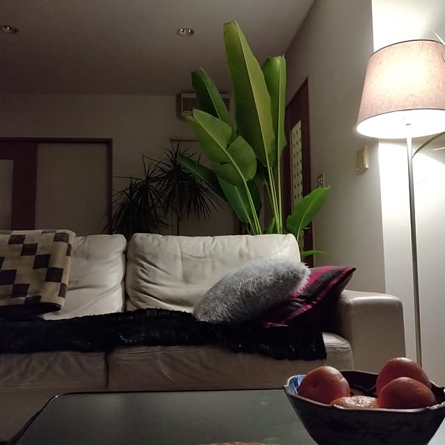 tomoko.hasizume022さんの実例写真