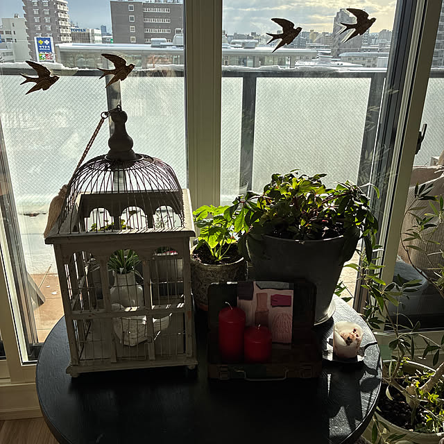 snowmamさんの実例写真