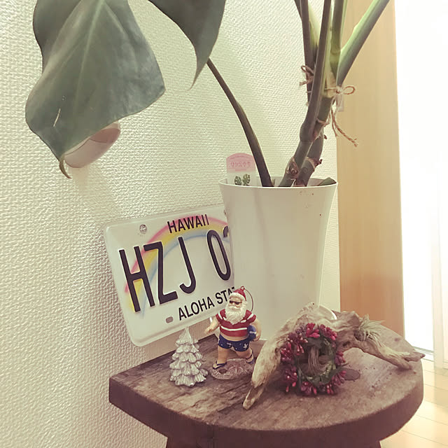 satominさんの実例写真