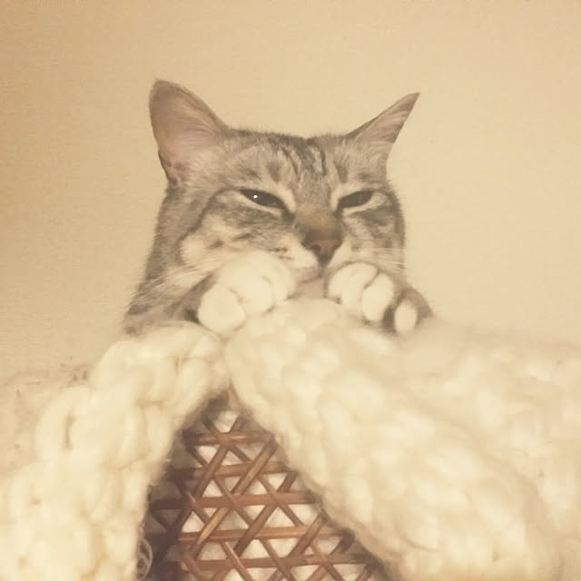 annさんの実例写真