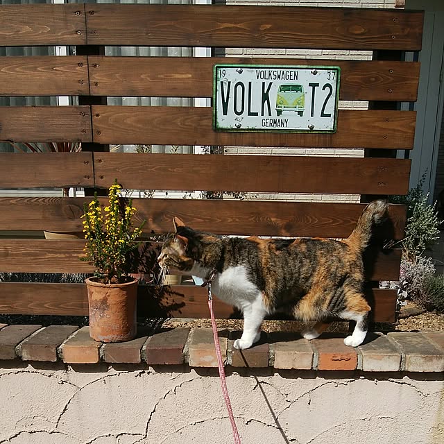 tomo1220さんの実例写真