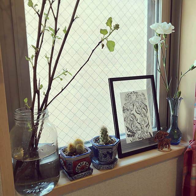 観葉植物/一人暮らし/雑貨/キッチンのインテリア実例 - 2022-03-30 13:31:19