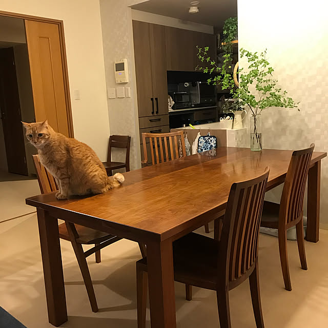 moricoさんの実例写真