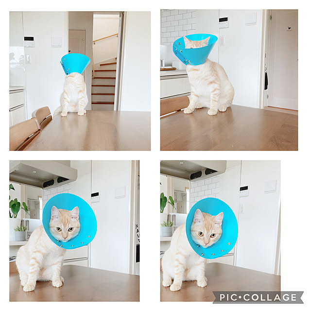 m.k.mさんの実例写真