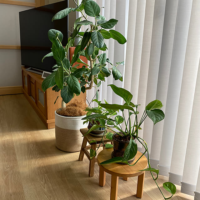 gojiさんの部屋