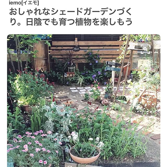 bibianさんの実例写真