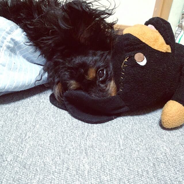 Mitsueさんの実例写真