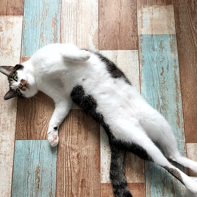 yuchiさんの実例写真