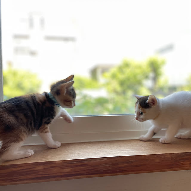 kumariさんの実例写真