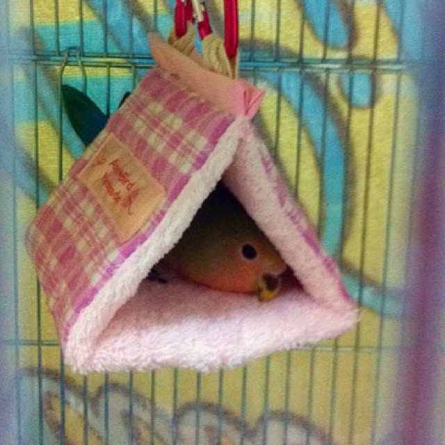 madokaさんの実例写真