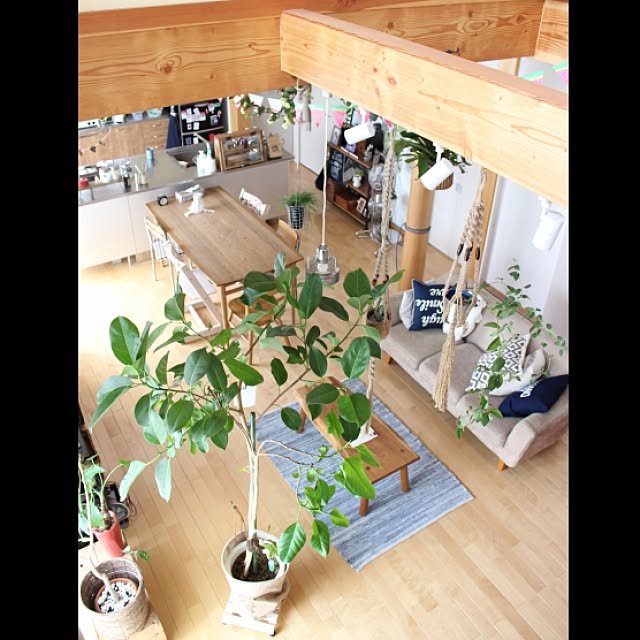 coKoさんの実例写真