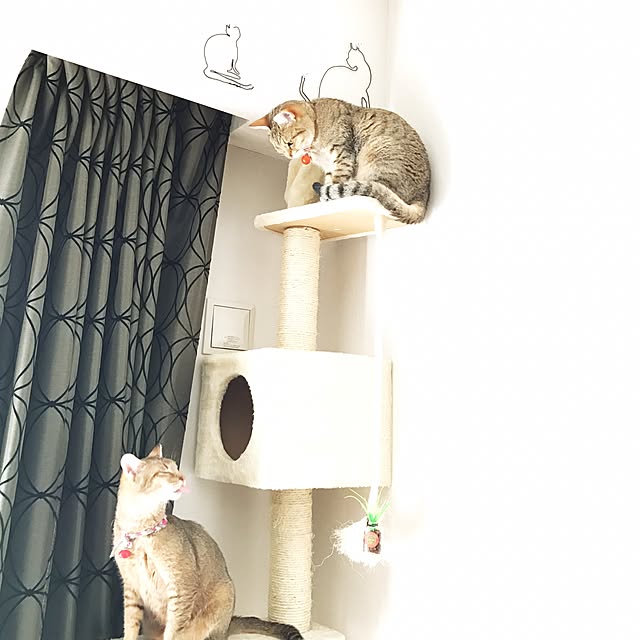 1633さんの実例写真