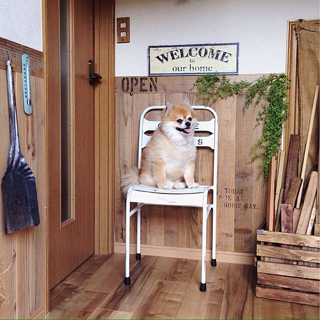 akkyさんの実例写真
