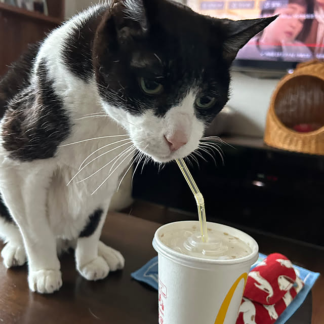 mikeume7さんの実例写真