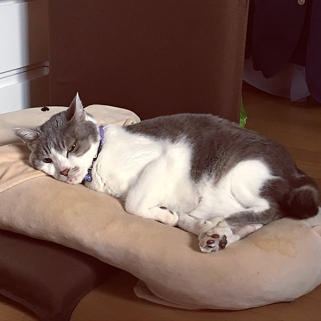 watageさんの実例写真