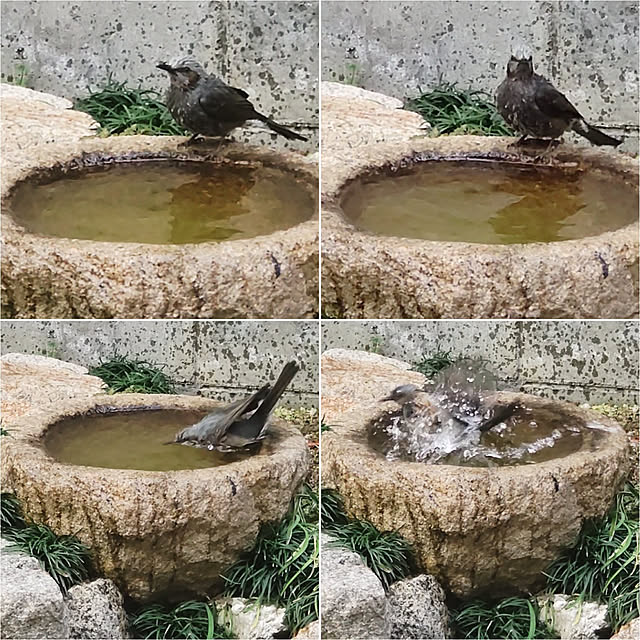 faunさんの実例写真