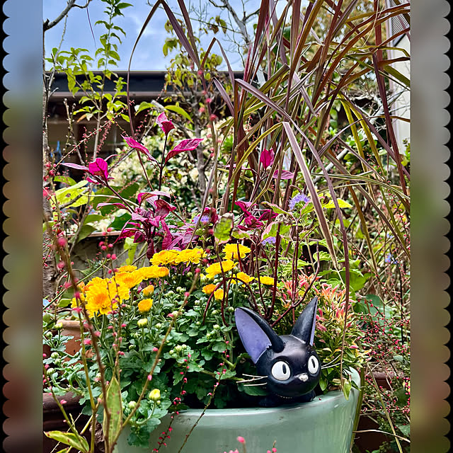 cotaさんの部屋