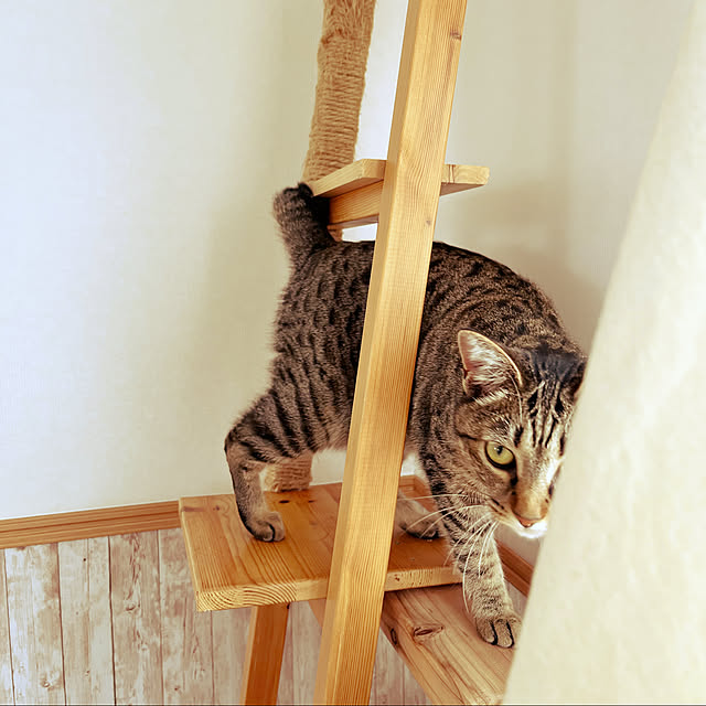 Mさんの実例写真