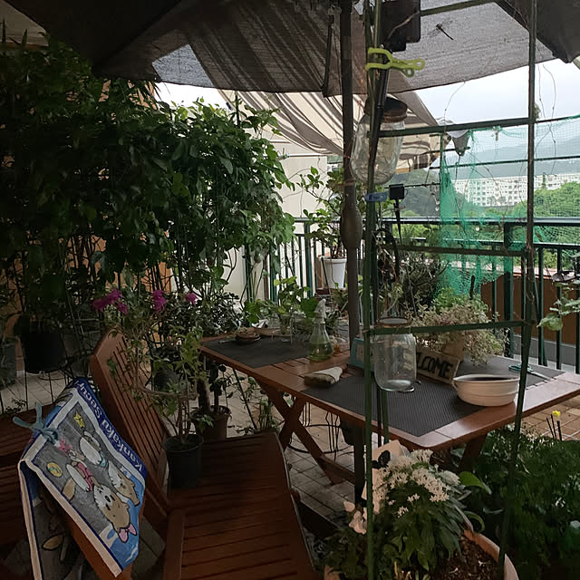 Aqettyさんの部屋