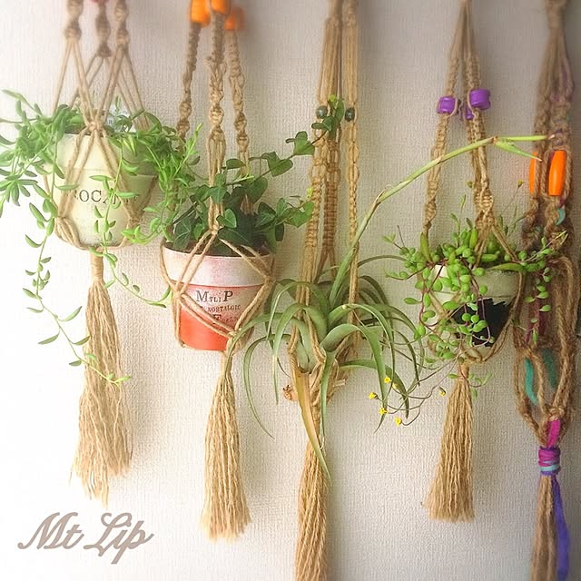 mt...lipさんの実例写真