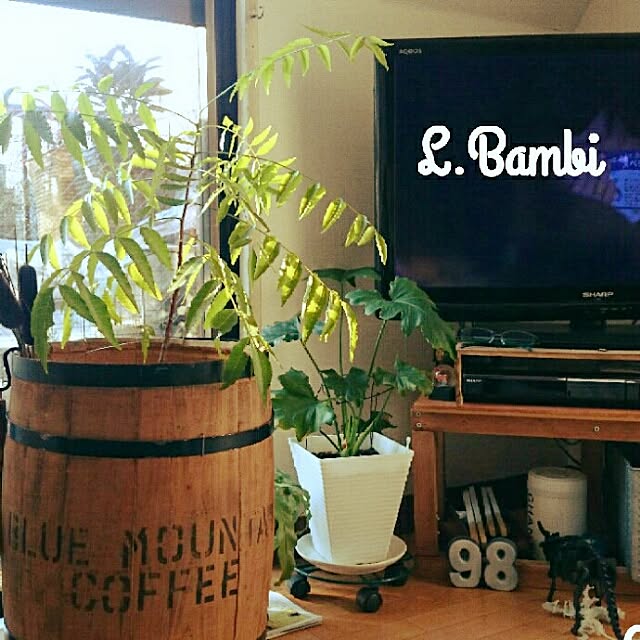 Little-Bambiさんの実例写真