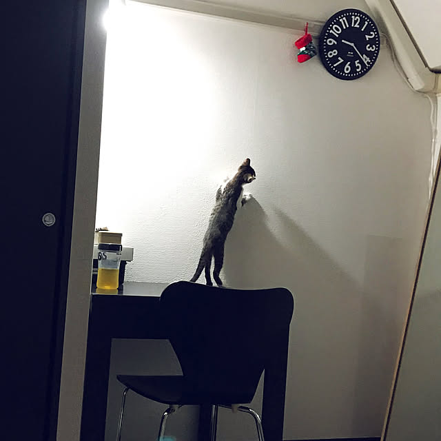 Erikoさんの実例写真