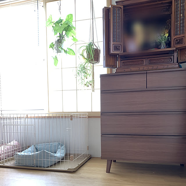 Mahoさんの実例写真