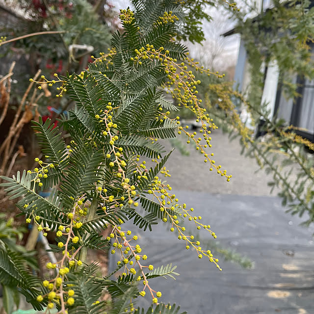 natsumiさんの部屋