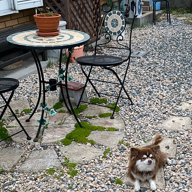 chIoeさんの実例写真