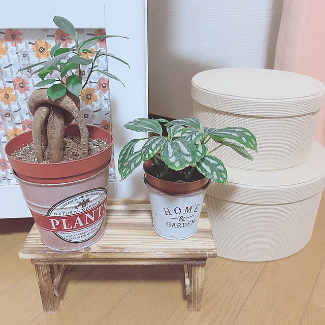 purpleさんの実例写真