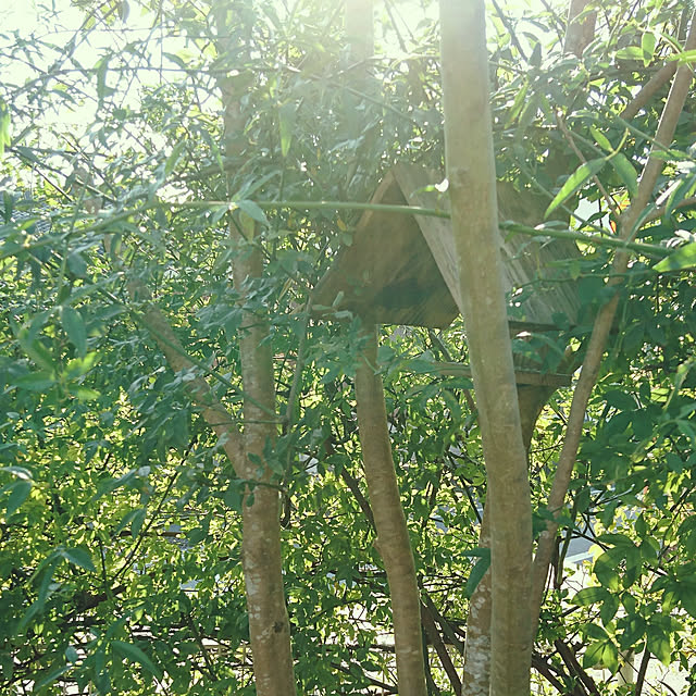 moku2さんの実例写真