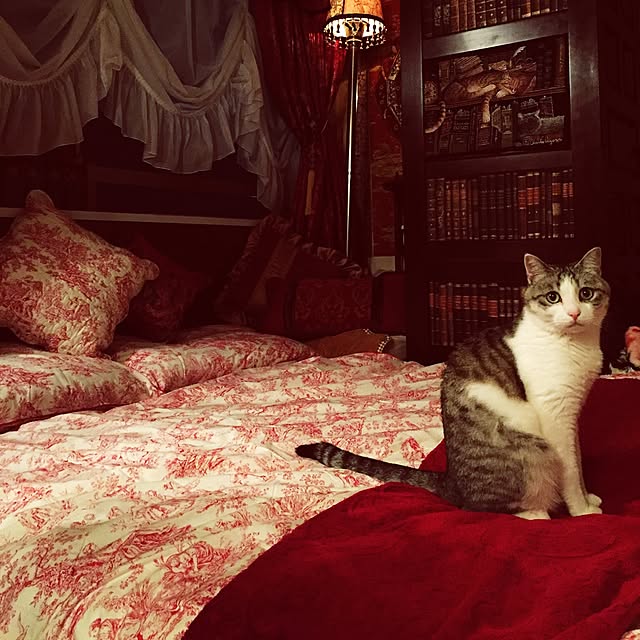 emmyyさんの実例写真