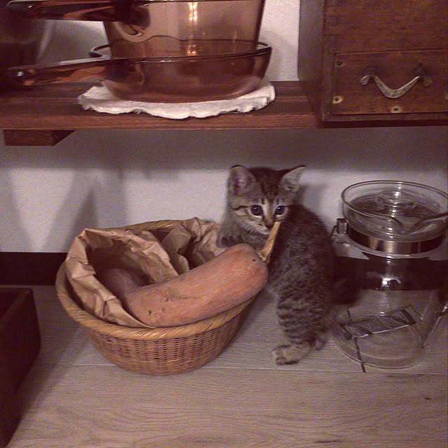 Mさんの実例写真