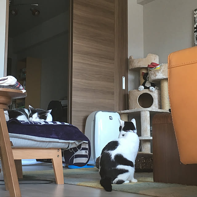 hanaさんの実例写真