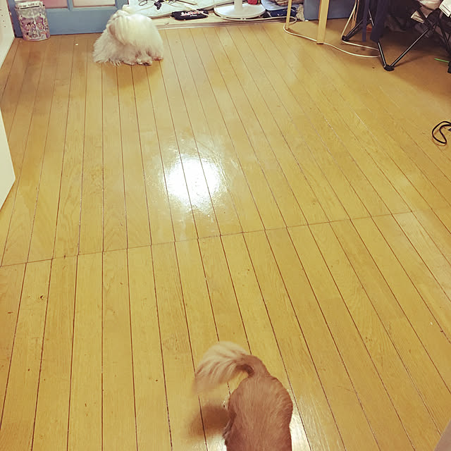 konohaさんの実例写真